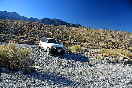 Descending to the White Mountain Talc Road, November 16, 2014